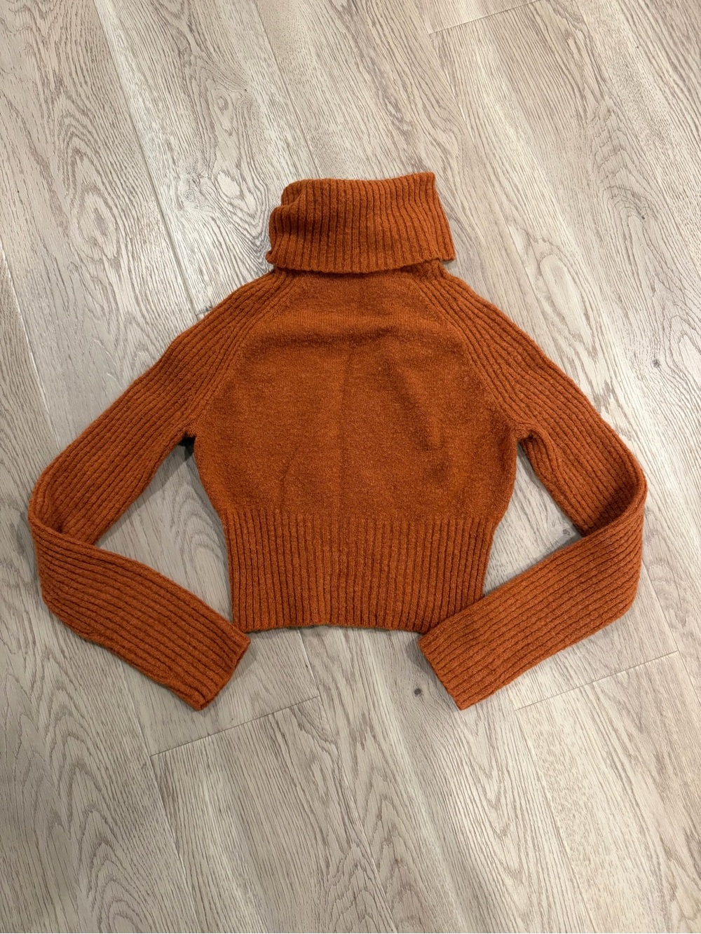 BDG Cropped Turtleneck Sweater in Rust